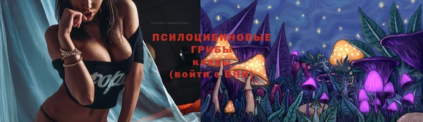 мет Вяземский