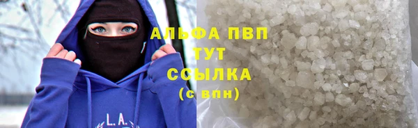 крисы Вязьма