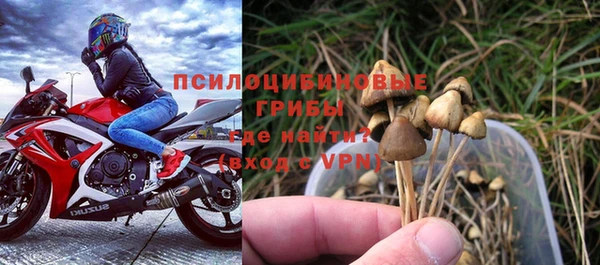 МДПВ Верхний Тагил