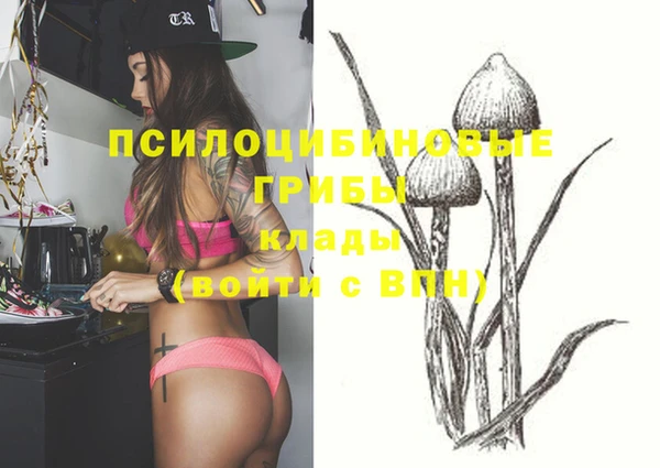 МДПВ Верхний Тагил