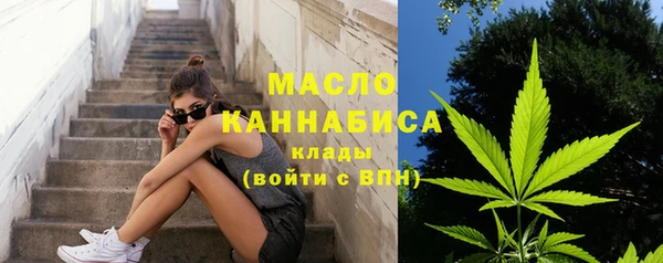 МДПВ Верхний Тагил