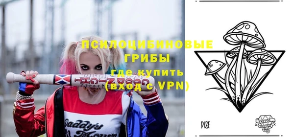 крисы Вязьма