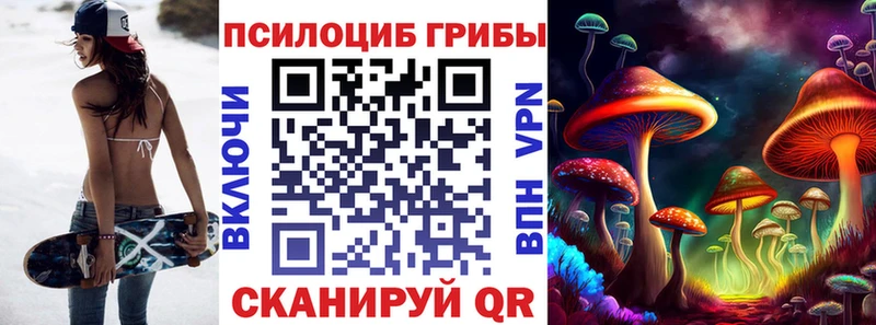 как найти   Заполярный  Галлюциногенные грибы GOLDEN TEACHER 